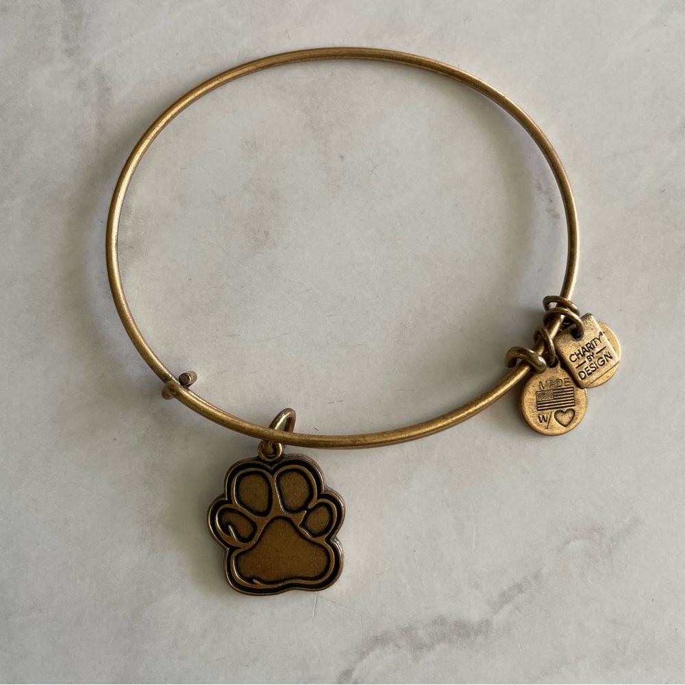 Alex and Ani Paw Print Charm Bracelet